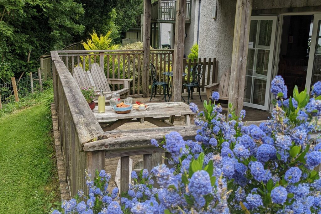 Bluebell Outdoor Space : Deck (2)